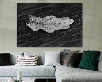 Feuille d'automne en noir et blanc sur FotoSynthese