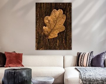 Autumn leaf on wood by FotoSynthese