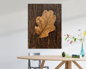 Herbstblatt auf Holz von FotoSynthese