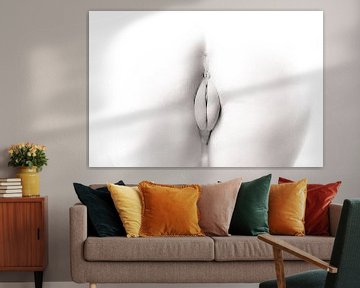 Artistiek Naakt van een Vagina in High Key van Art By Dominic