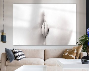 Artistiek Naakt van een Vagina in High Key van Art By Dominic