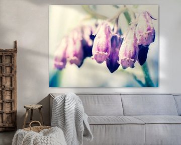 Gros plan sur les fleurs de célébrités violettes et roses en macrophotographie sur Art By Dominic