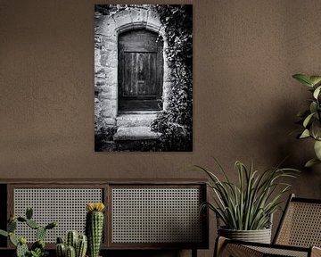 Alte, von Efeu überwucherte Tür in Frankreich | Reise- und Straßenfotografie von Diana van Neck Photography