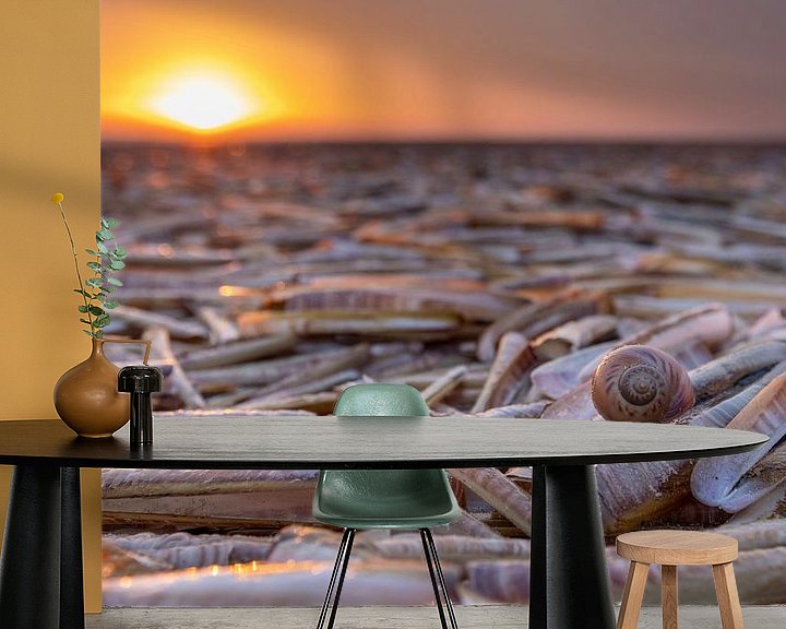 Impression: Lit de coquillages sur la plage sur Anja Brouwer Fotografie
