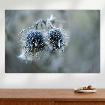 Deux fleurs de chardon gris séchées sur un fond flou, concept wabi sabi de la nature, symbole d'unit