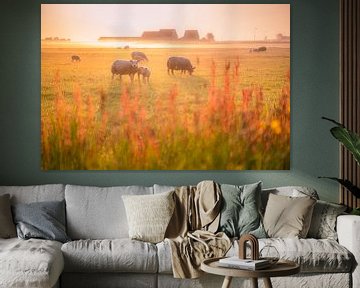 Summer morning mist in the Dutch polder by Fotografiecor .nl