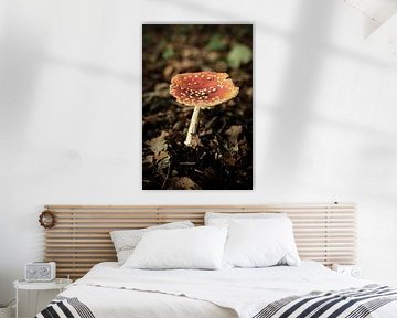 Rode paddenstoel in het bos | Nederland | Natuur- en Landschapsfotografie