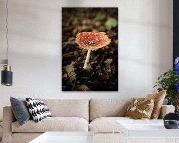 Rode paddenstoel in het bos | Nederland | Natuur- en Landschapsfotografie van Diana van Neck Photography