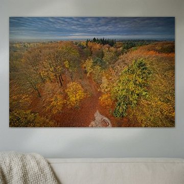 Utrechtse Heuvelrug in autumn