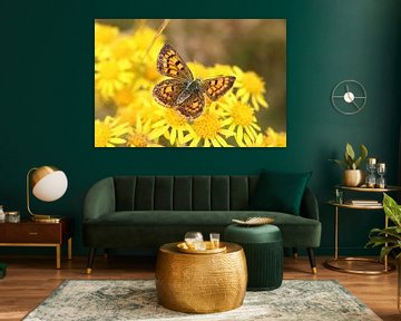 Ein gelber Schmetterling bestäubt eine gelbe Blume in Neuseeland von Lau de Winter