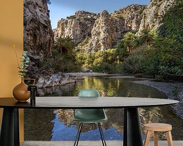 Schlucht von Preveli, Kreta von Peter Schickert