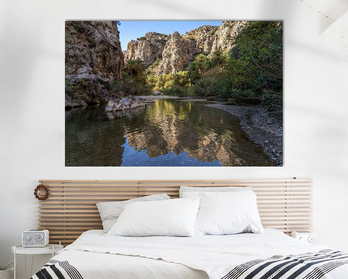 Aperçu de la chambre