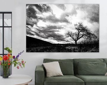 Landscape with tree