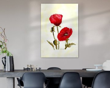 Poppy Blossoms by Sandra Steinke