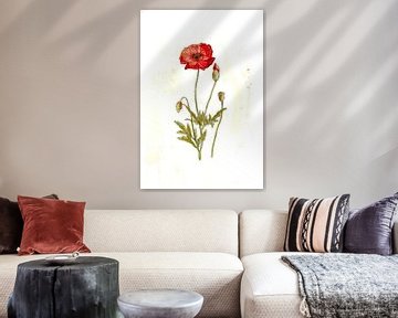 De papaver van Sandra Steinke