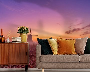 Colourful sunrise at the Schermer windmills