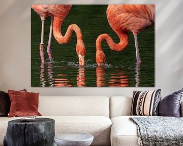 Flamingo's bij het ontbijt van Uwe Ulrich Grün