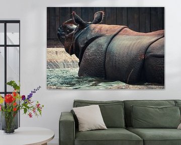 rhino by Dieter Emmerechts