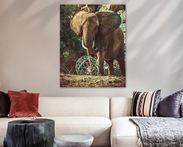 Elefant von Dieter Emmerechts