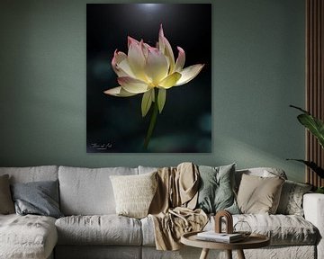 De heilige lotus (Nelumbo nucifera) van Flower and Art