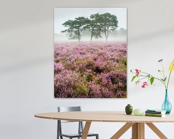 Purple heather in a misty landscape | Utrechtse Heuvelrug by Sjaak den Breeje