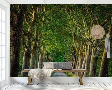 Halder/ Haanwijk by Goos den Biesen