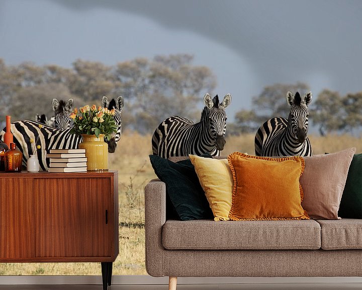 Sfeerimpressie behang: Zebra's in de Okavangodelta van Simone Meijer