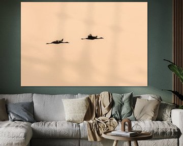 Cranes in flight by Bert Kok