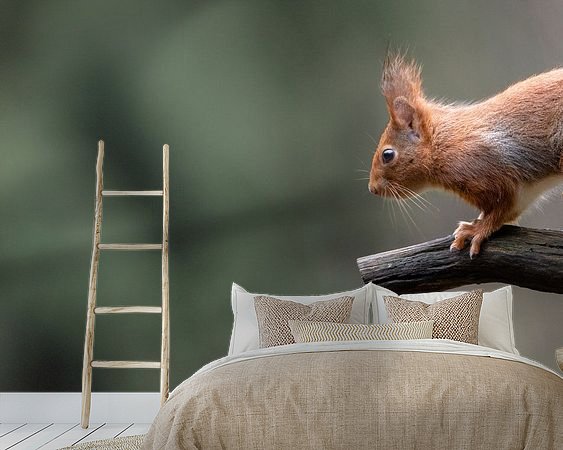 Voorbeeld van het werk in een kamer