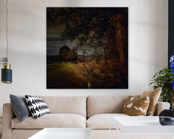 Hollands landschap in Drenthe met bomen en beekje in de stijl van de Hollandse meesters van ina kleiman