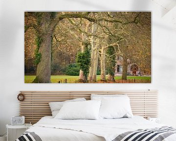 Des arbres ludiques le long de l'avenue vers sur Sara in t Veld Fotografie