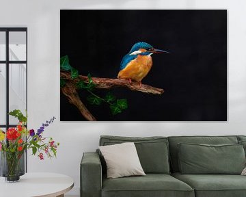 Kingfisher by Kingfisher.photo - Corné van Oosterhout