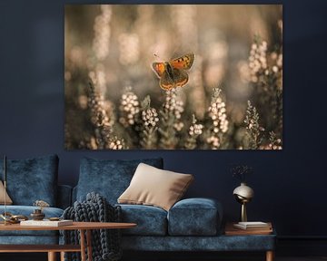 Butterfly on the heathland warming up in the sun by KB Design & Photography (Karen Brouwer)