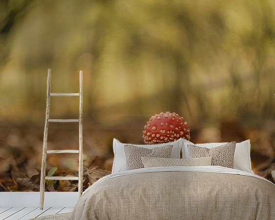 Aperçu de la chambre