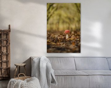 Young fly agaric - mushroom red with white dots by Moetwil en van Dijk - Fotografie