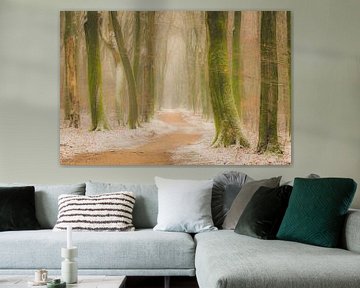 Footpath through a Beech forest during a foggy winter morning by Sjoerd van der Wal Photography