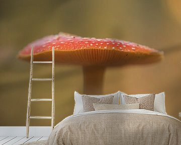 Herfsttafereel: vliegenzwam