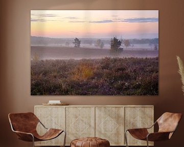 Morning fog in Zonhoven by Johan Vanbockryck