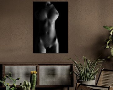 Lichaam van een naakte vrouw in Low-Key van Art By Dominic