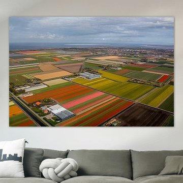 Bulb fields in bloom