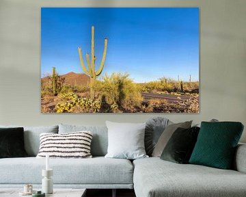 Landschapsimpressie van het Saguaro Nationaal Park van Melanie Viola
