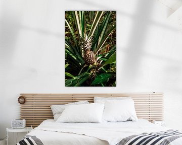 Amazonian pineapple by Teuntje Fleur