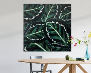 TROPICAL GREENERY LEAVES PATTERN-2 by Pia Schneider