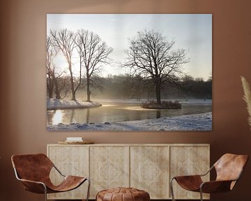 Winterswit landschap