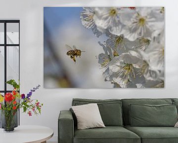 Des abeilles pour la fleur sur Ab Donker