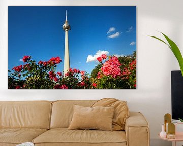 Fernsehturm Berlin mit Rosenbeet von Frank Herrmann