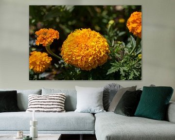 Fleur d'oranger dans un jardin fleuri sur Yannick uit den Boogaard