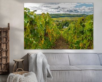 Zicht op dorp in de Champagne streek in Frankrijk met in de voorgrond druiven van Ivo de Rooij