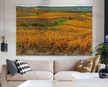 Blick auf Weinberge in der französischen Champagne im Herbst