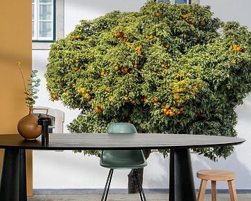 Bloeiende Sinaasappelboom in Portugal van Evelien Oerlemans